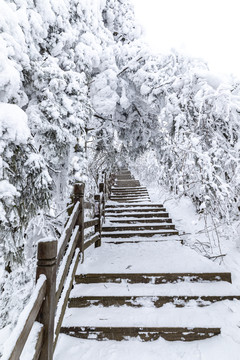 香炉山雪景