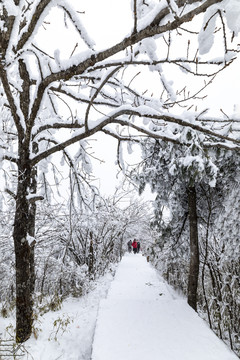 香炉山雪景