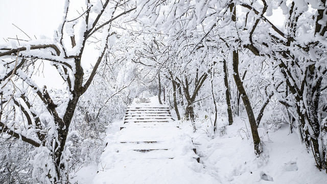 香炉山雪景