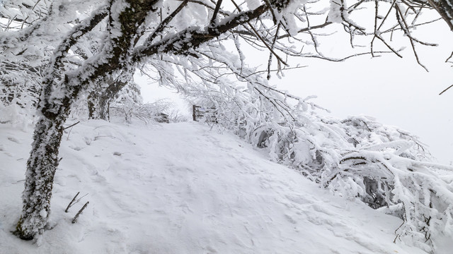 香炉山雪景