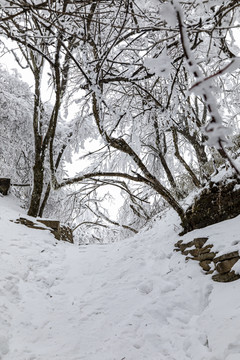 香炉山雪景