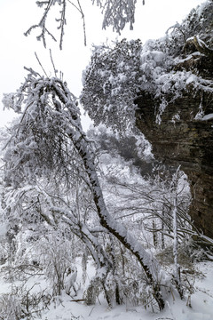 香炉山风光