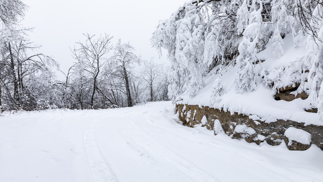 冬季雪景