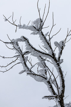 高山雪景