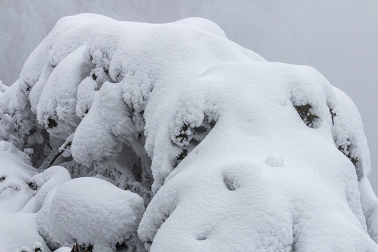 山地雪景