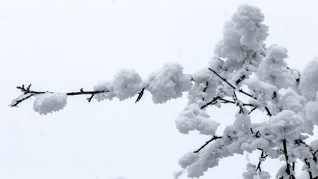 雪景