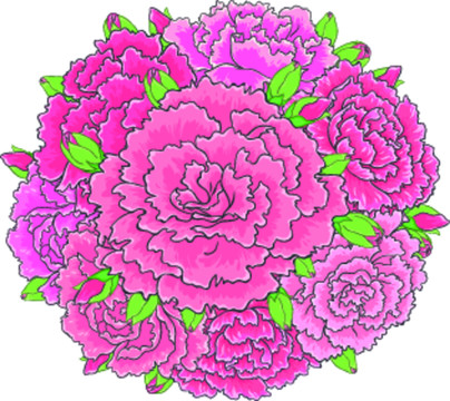 康乃馨花球插圖