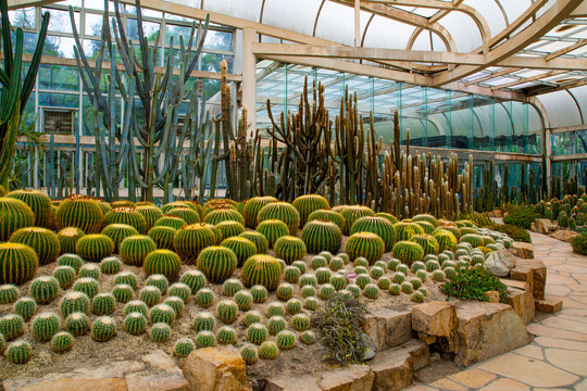 厦门植物园沙生植物馆