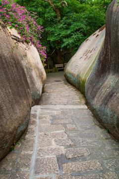 厦门园林植物园