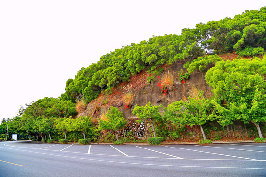 海陵岛环岛路