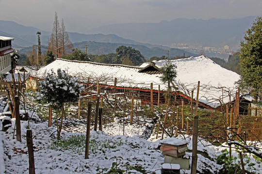 农村屋顶雪景