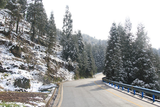 乡村公路雪景