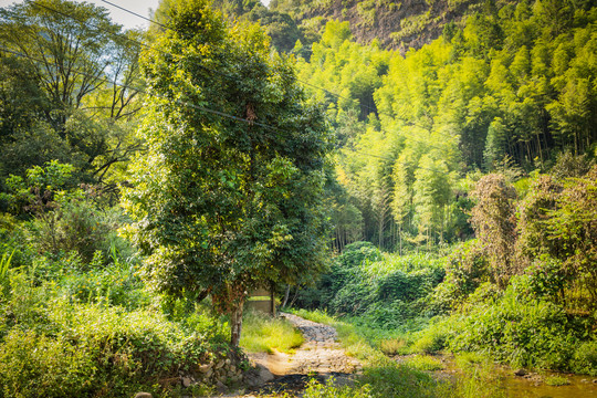 三清山风景