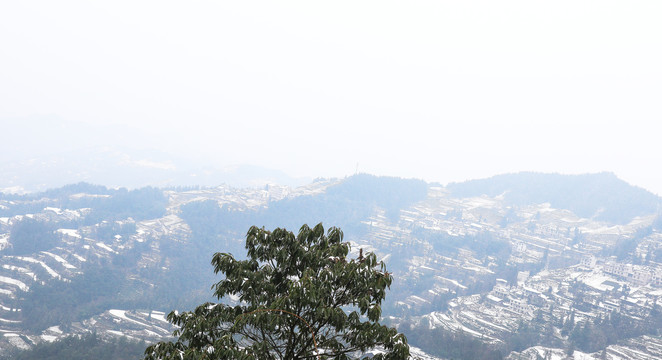 山村雪景