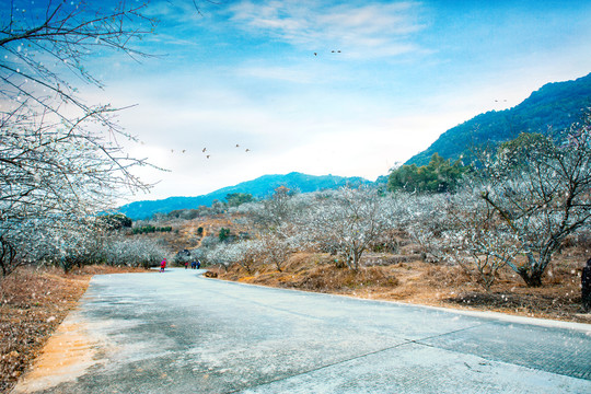 流溪飘雪