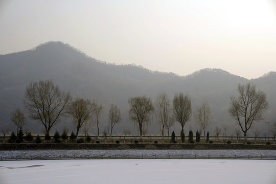 冰河小树与远山