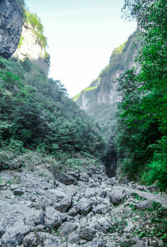 森林山间峡谷