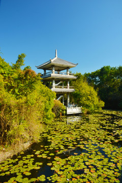 观景亭