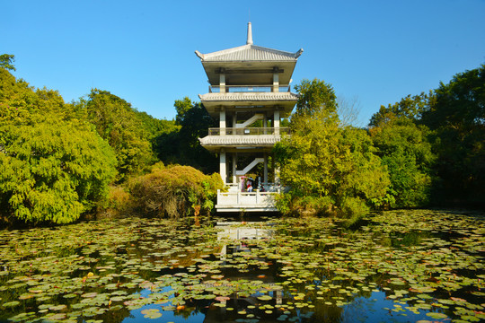 观景亭