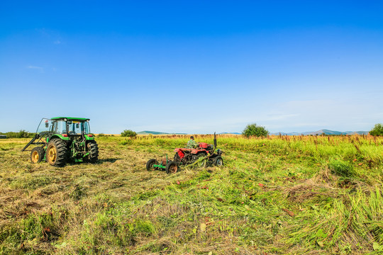 拖拉机收割牧草