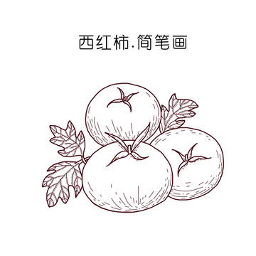 西红柿简笔画psd