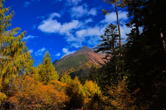 毕棚沟风景