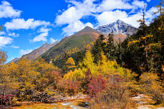 毕棚沟风景