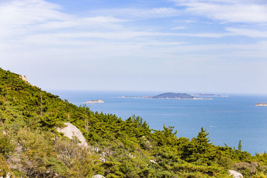 青岛崂山海滨森林植被