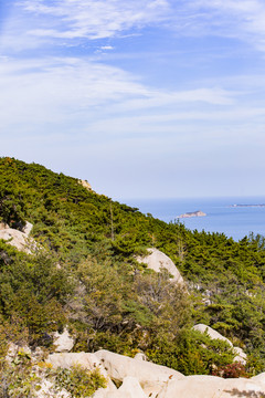 青岛崂山海滨山林植被