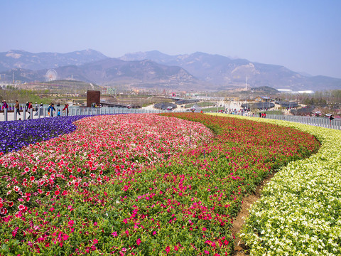 青岛世界园艺博览会