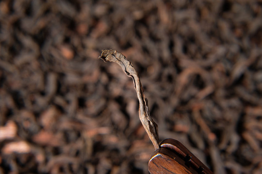 武夷巖茶金牡丹特寫2