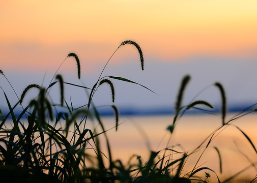 河边夕阳