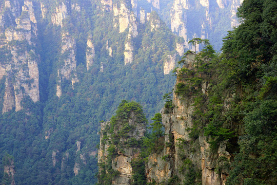 天子山风光