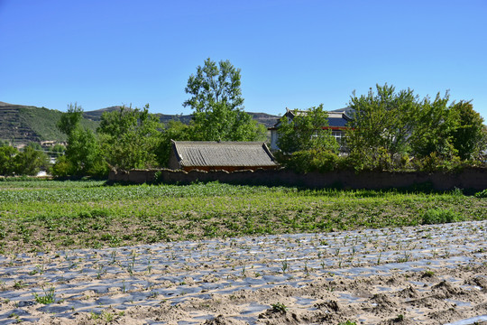 乡村风光