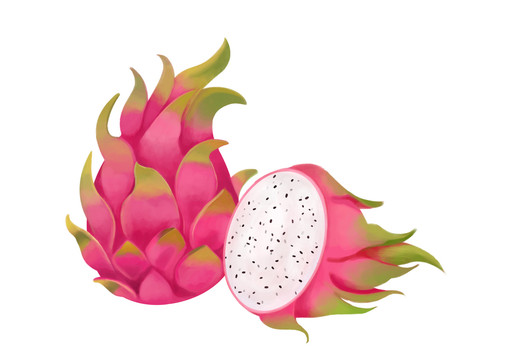 卡通寫實(shí)風(fēng)格新鮮的火龍果插畫