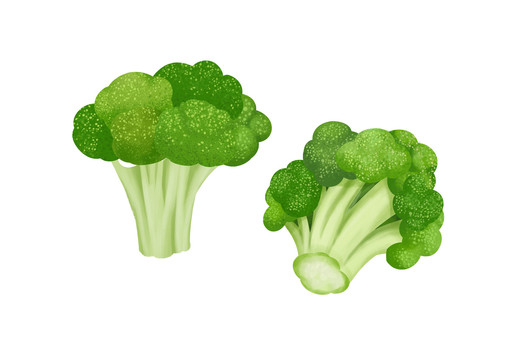 小清新寫實(shí)卡通新鮮的西藍(lán)花插畫