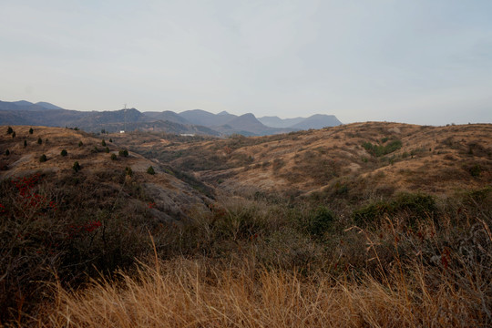 秋天的荒山野岭