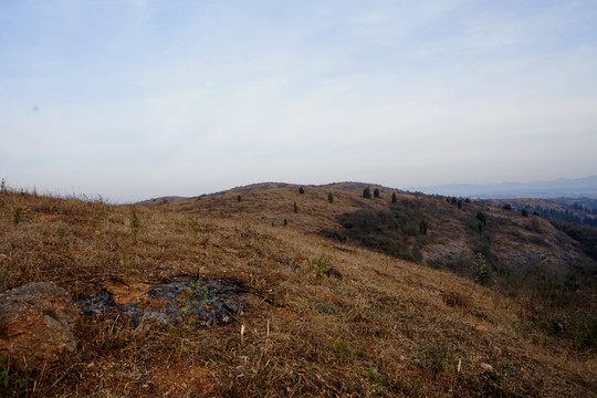 秋天的荒山野岭