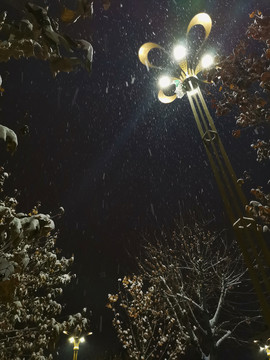 夜雪