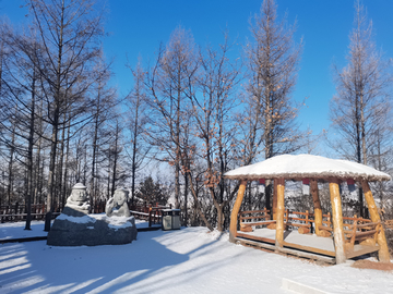 雪景