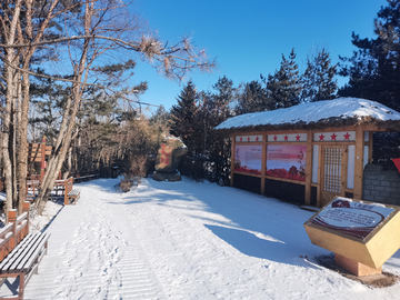 雪景