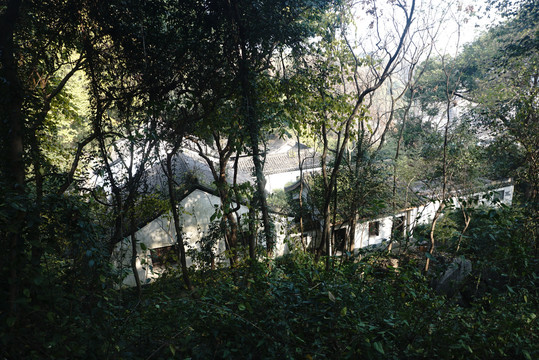 山脚下树林里的江南建筑