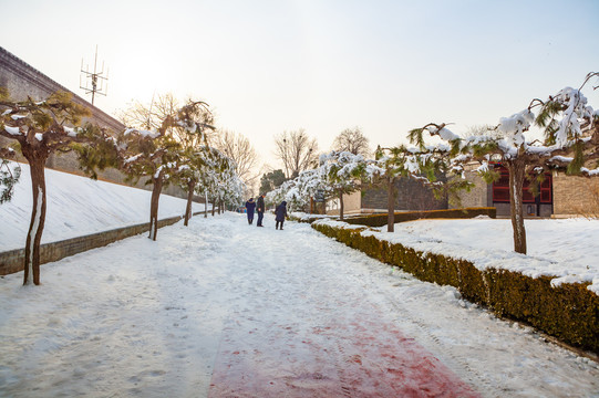 下雪的步道