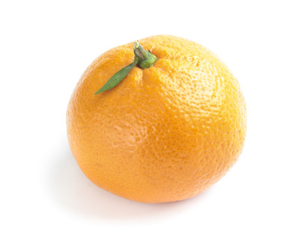 湘西椪柑橘