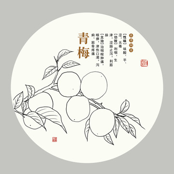 手繪青梅