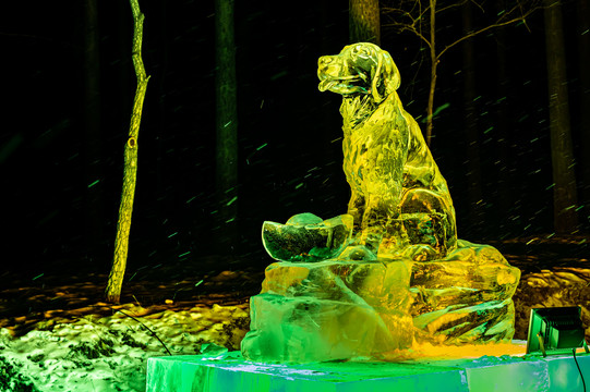 长春净月潭冰雪世界夜景及光秀