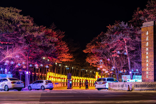 长春净月潭冰雪世界夜景及光秀