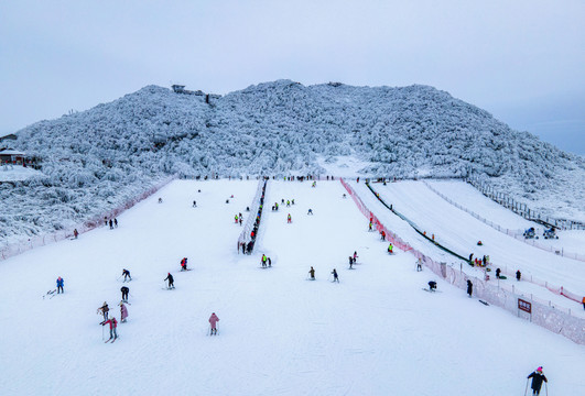 重庆金佛山雪白的童话世界