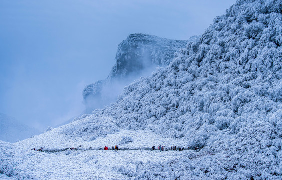 重庆金佛山雪白的童话世界