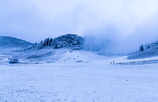 重庆金佛山雪白的童话世界